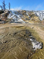 Yellowstone Mammoth Hotsprings (18).JPG